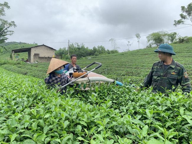 Tỷ phú nông dân Việt Nam xuất sắc 2021 Phan Đình Đường: Hành trình đưa cây chè phủ xanh vùng đất chết   - Ảnh 3.
