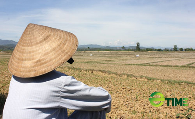 Quảng Ngãi: Dự án nâng cấp kênh tác dụng ngược, tỉnh điểm mặt chủ đầu tư  - Ảnh 3.