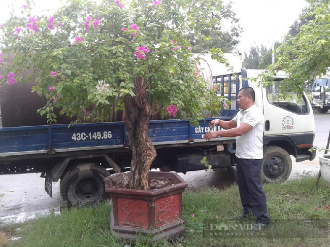 Đà Nẵng: Hội Nông dân Hải Châu ghi dấu ấn nhờ phong trào thi đua sản xuất kinh doanh giỏi - Ảnh 5.