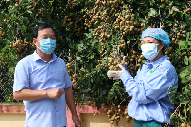 Tăng tốc khôi phục sản xuất nông nghiệp sau dịch (bài cuối): Đảm bảo đủ lương thực phục vụ trong nước và xuất khẩu - Ảnh 1.