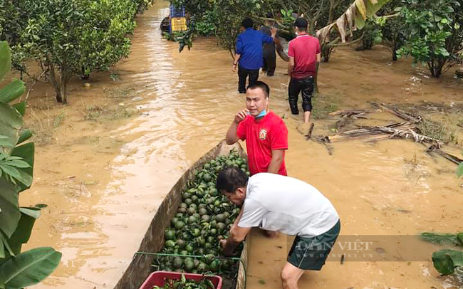 Chính quyền xã Tà Lài, huyện Tân Phú giúp người dân thu hoạch nông sản sau trận lụt ngày 13/10. Ảnh: Ánh Tuyết