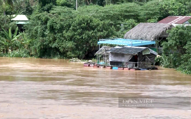 Đài khí tượng thủy văn tỉnh Đồng Nai tiếp tục cảnh báo nguy cơ ngập lụt ở những khu vực thấp ven sông Đồng Nai. Ảnh: Trần Khánh