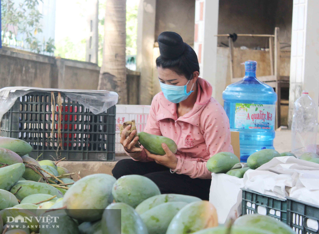 Sẽ có 5 vùng nguyên liệu lớn nông sản chủ lực - Ảnh 1.