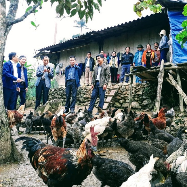 Nghệ An: Nuôi loại gà đặc sản đen từ lông đến nội tạng, nông dân xã biên giới giàu lên trông thấy   - Ảnh 1.