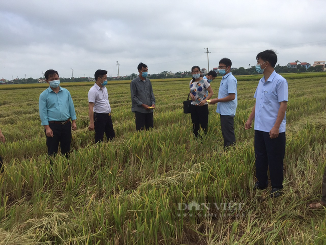 Hà Nam: Hội Nông dân tỉnh chỉ cách hay, người dân &quot;biến&quot; rơm rạ thành phân bón - Ảnh 2.