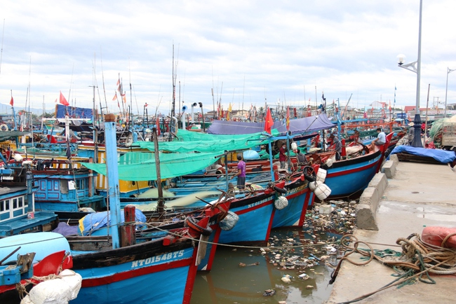 Ninh Thuận: khẩn trương triển khai các biện pháp ứng phó áp thấp nhiệt đới - Ảnh 1.