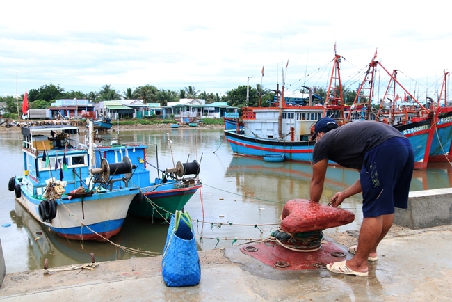 Ninh Thuận: khẩn trương triển khai các biện pháp ứng phó áp thấp nhiệt đới - Ảnh 2.