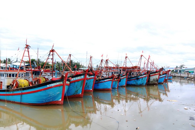 Ninh Thuận: khẩn trương triển khai các biện pháp ứng phó áp thấp nhiệt đới - Ảnh 7.