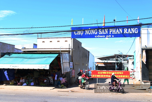 Ninh Thuận: Xuất hiện ổ dịch mới tại chợ đầu mối nông sản lớn nhất tỉnh - Ảnh 1.