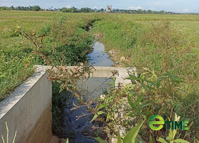 Quảng Ngãi:
Báo cáo Tổng cục Thuỷ lợi thông tin nghi vấn dự án kênh tác dụng ngược
 - Ảnh 3.