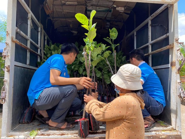 Trồng mít nghệ Thanh Sơn ứng dụng chế phẩm vi sinh: Nâng giá trị nông sản, nông dân tăng thu nhập - Ảnh 3.