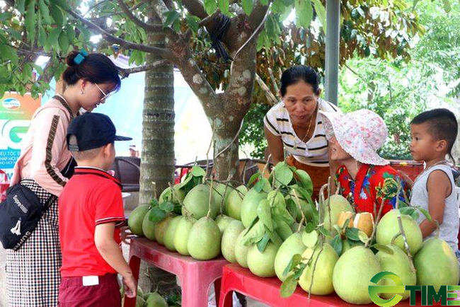 Sản phẩm nông nghiệp chủ lực của tỉnh Quảng Nam gồm những loại nào? - Ảnh 1.