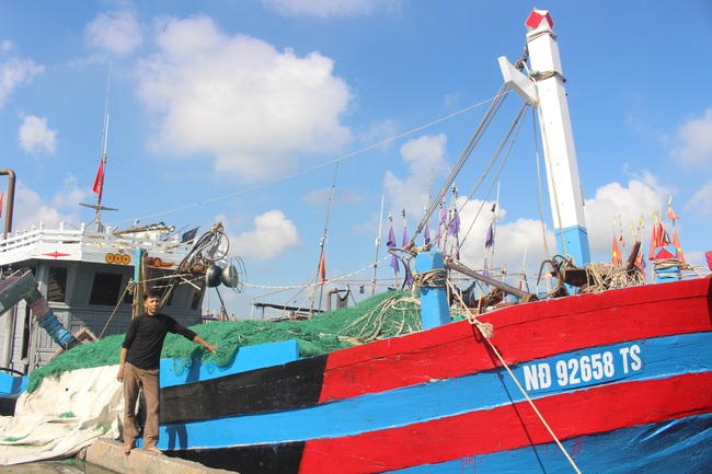 Nam Định: Giá tôm cá lao dốc, ngư dân lao đao - Ảnh 1.