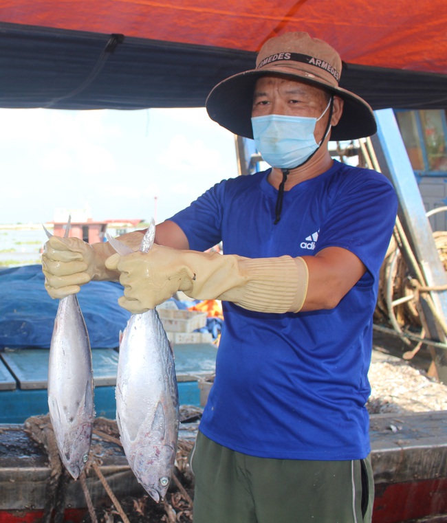 Nam Định: Giá tôm cá lao dốc, ngư dân lao đao - Ảnh 2.