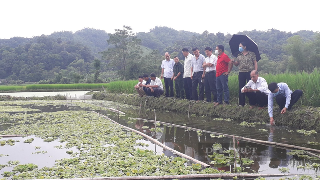 Hội nông dân Thái Nguyên: Đẩy mạnh hỗ trợ phát triển những mô hình kinh tế chủ lực  - Ảnh 3.