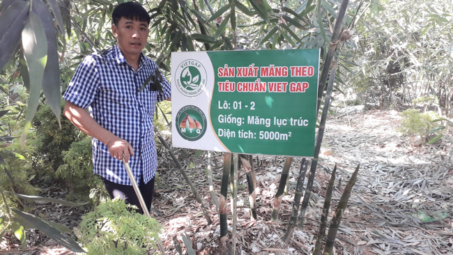 Thái Nguyên: Loại cây gì mà nông dân ở đây rủ nhau trồng, khi bán giá cao ngất ngưởng  - Ảnh 6.