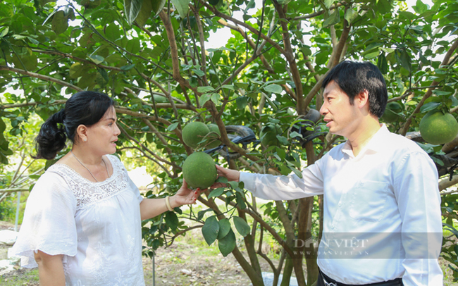 Lãnh đạo Trung ương Hội Nông Dân Việt Nam (phải) trong một lần ghé thăm vườn bưởi hữu cơ của nông dân tỉnh Bình Dương. Ảnh: Nguyên Vỹ