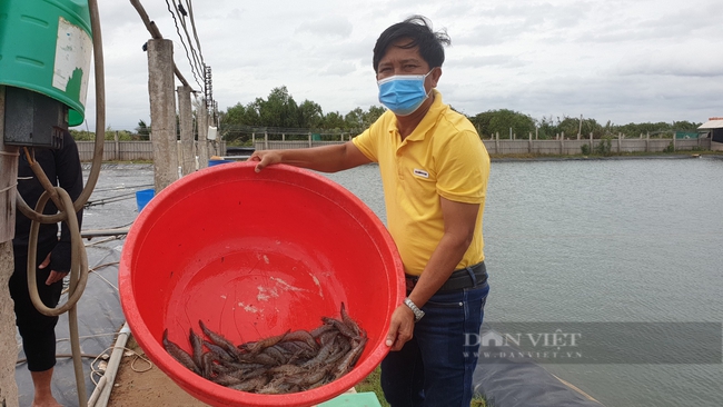 Nông dân xuất sắc tỉnh Bến Tre là nông dân nuôi tôm công nghệ cao, bỏ túi cả chục tỷ đồng mỗi năm - Ảnh 3.