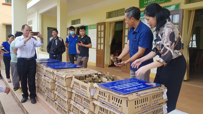 Yên Bái: Hỗ trợ nuôi vịt cổ xanh đặc sản theo cách này, nông dân xã nghèo ở miền núi ai cũng phấn khởi - Ảnh 3.