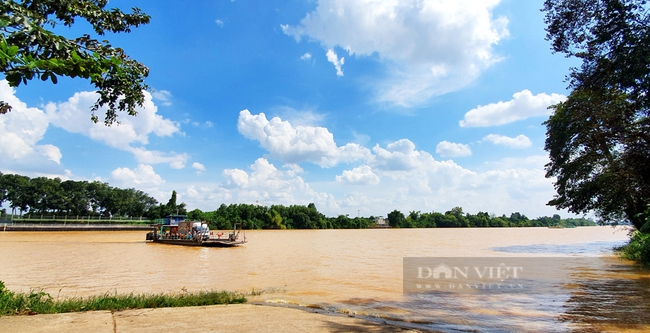 Một vùng trời, nước thanh bình ở cù lao Rùa. Ảnh: Trần Khánh