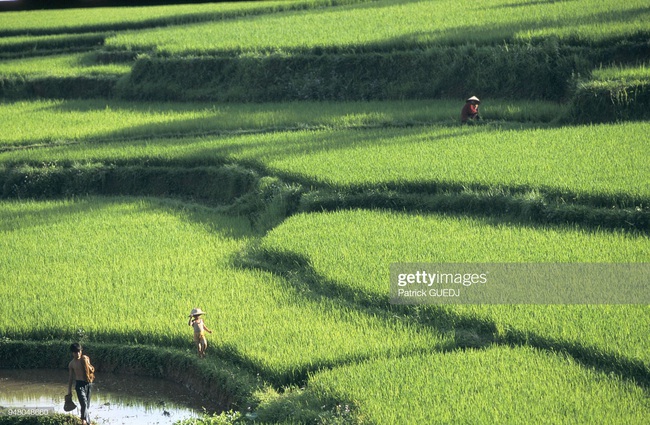 Cuộc sống ở Việt Nam cuối thập niên 1990 qua ống kính người Pháp - Ảnh 5.