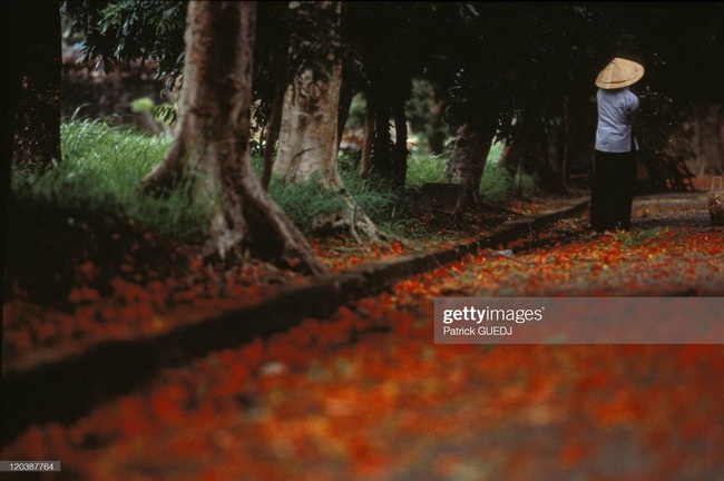 Cuộc sống ở Việt Nam cuối thập niên 1990 qua ống kính người Pháp - Ảnh 6.