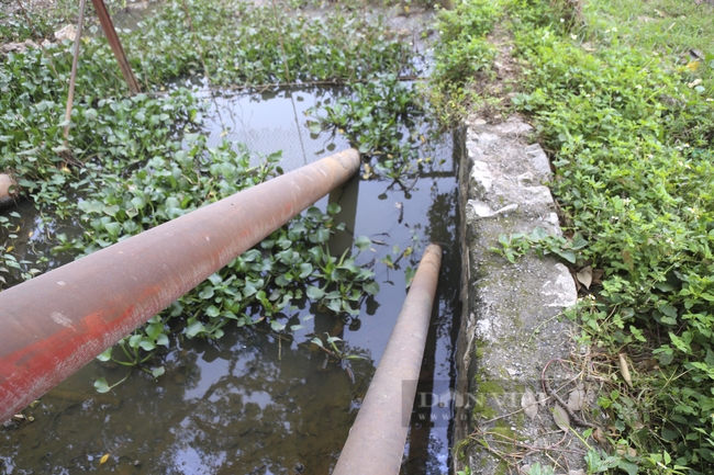 Dự án nông nghiệp tiền tỷ tại Hà Nam vừa dùng đã hỏng, “chết lâm sàng” nhiều năm, chưa thấy ngày “hồi tỉnh” - Ảnh 5.