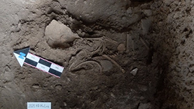 Giải mã mộ táng trẻ em 11.000 năm tuổi vừa phát hiện ở Lạng Sơn - Ảnh 7.