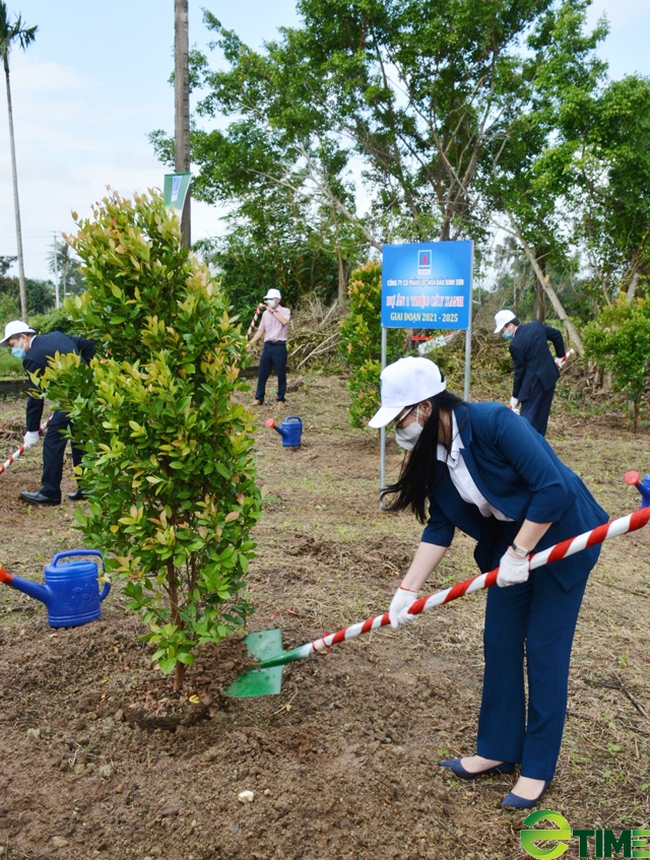 Quảng Ngãi: BSR hưởng ứng và ra quân trồng 1 triệu cây xanh  - Ảnh 1.