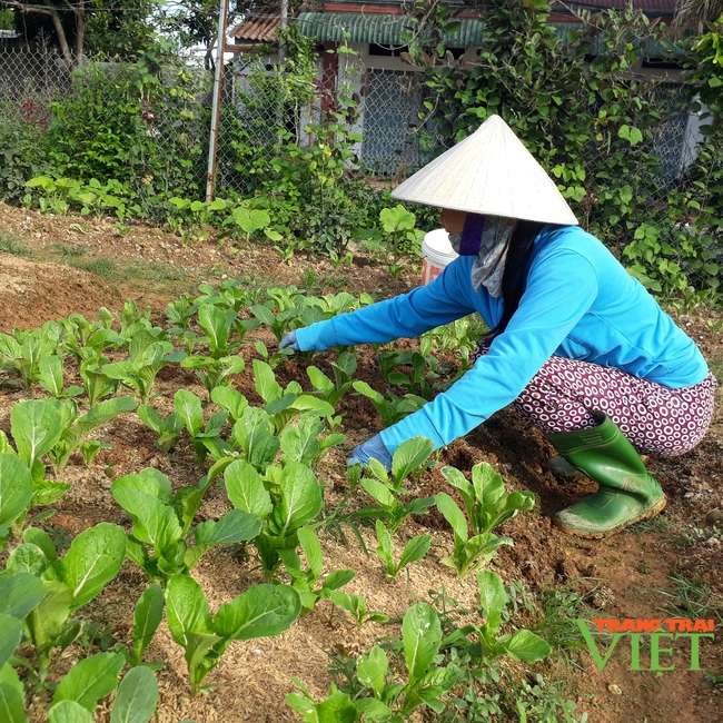 Lai Châu nỗ lực kéo giảm tỷ lệ suy dinh dưỡng ở trẻ em - Ảnh 3.