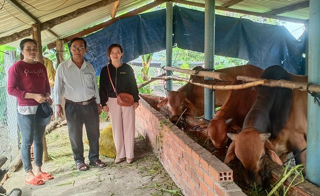 Có của ăn của để khi vay vốn nuôi bò, làm chổi đót - Ảnh 1.