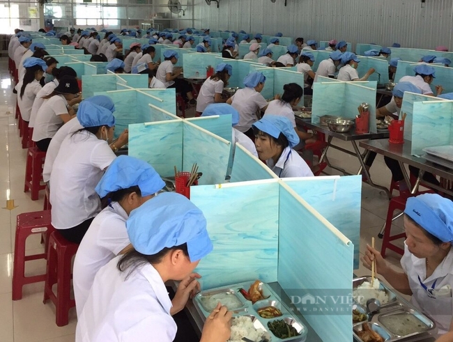 Đà Nẵng: Nhiều doanh nghiệp chấp nhận giảm doanh thu để giữ chân người lao động - Ảnh 2.