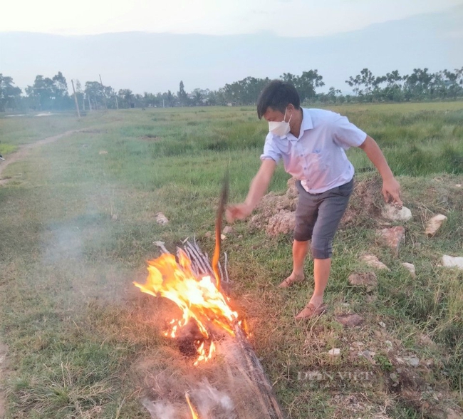 Tiêu hủy 4.390 mét lưới dùng bẫy chim trời tại Thanh Hóa - Ảnh 4.