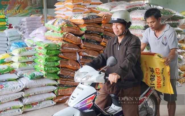 Ăn ngủ không yên vì vòng lẩn quẩn giá phân tăng mà giá bán thấp - Ảnh 6.