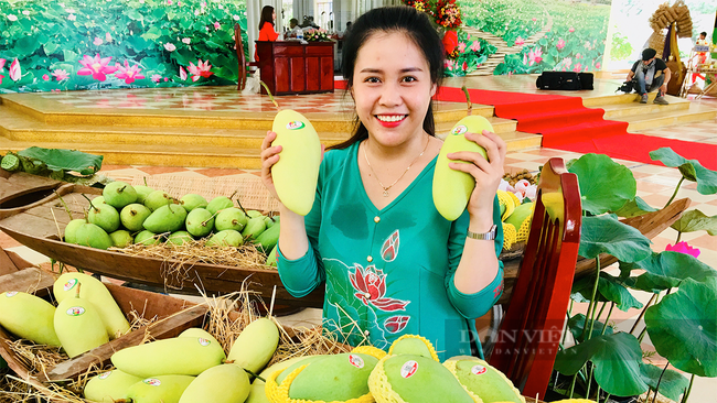 Miền Tây sẽ có lễ hội xoài, cuộc thi &quot;Trái xoài ngon nhất&quot; - Ảnh 1.