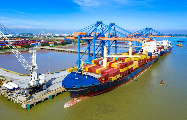 Doanh nghiệp xuất khẩu “than trời” vì chi phí logistics, lo khó phục hồi sau dịch - Ảnh 1.