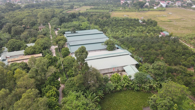 Nông dân Việt Nam xuất sắc 2021 ở Hà Nội nuôi “vàng mềm” bán đắt như tôm tươi bật mí bí quyết kiếm tiền tỷ - Ảnh 1.