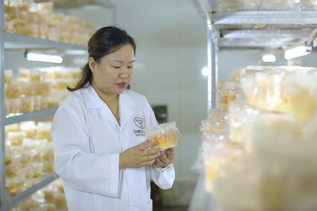 Nông dân Việt Nam xuất sắc 2021 ở Hà Nội nuôi “vàng mềm” bán đắt như tôm tươi bật mí bí quyết kiếm tiền tỷ - Ảnh 6.