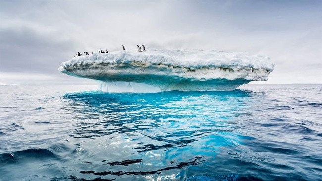 Top 10 sự thật thú vị về Nam Đại Dương - Đại dương thứ 5 của thế giới - Ảnh 2.
