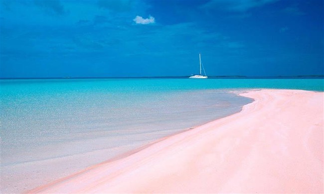Bãi biển màu hồng phấn lãng mạn bậc nhất thế giới - Ảnh 1.