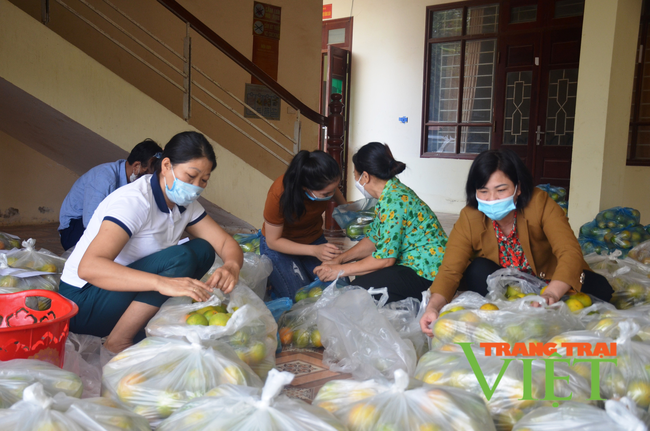 Hội Nông dân tỉnh Điện Biên: Hỗ trợ tiêu thụ 10 tấn cam vàng Hà Giang   - Ảnh 1.