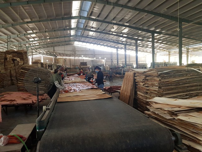“Mạnh tay” kiểm soát nhập khẩu gỗ từ Trung Quốc  - Ảnh 1.