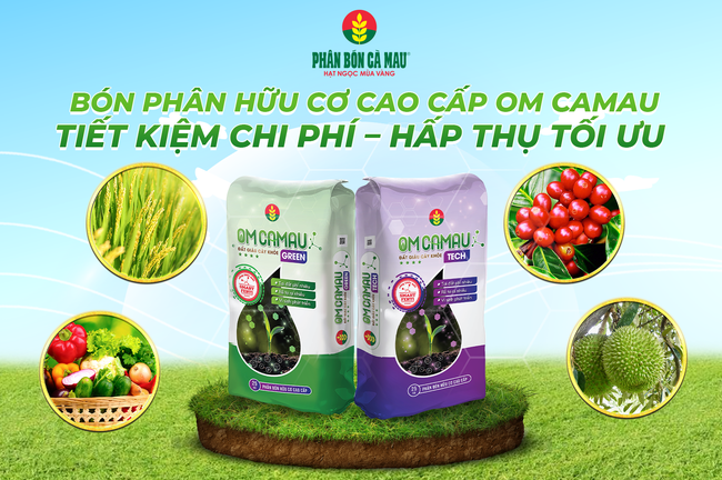 Phân bón hữu cơ cao cấp OM CAMAU – Giải pháp cho nông nghiệp hữu cơ - Ảnh 2.