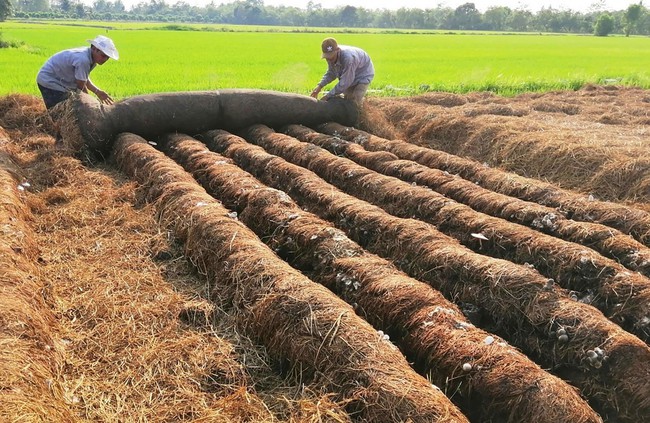 Sớm hình thành hệ nông nghiệp tuần hoàn tại Việt Nam - Ảnh 1.