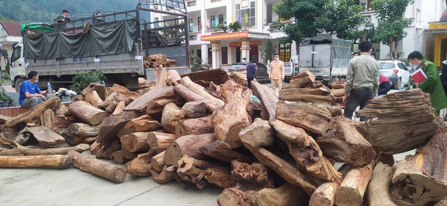 Hà Giang: Phát hiện, bắt giữ lô gỗ quý cực lớn trên Công viên địa chất toàn cầu đầu tiên của Việt Nam - Ảnh 1.