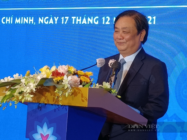 Giật mình chi phí logistics đang &quot;thắt cổ&quot; nông sản Việt - Ảnh 5.