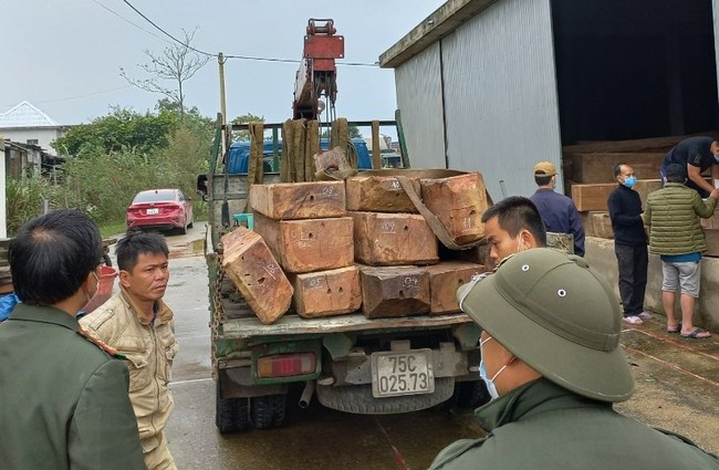 TT-Huế: Bắt xe tải chở lượng lớn gỗ lậu, lộ xưởng cưa làm ăn phi pháp  - Ảnh 3.