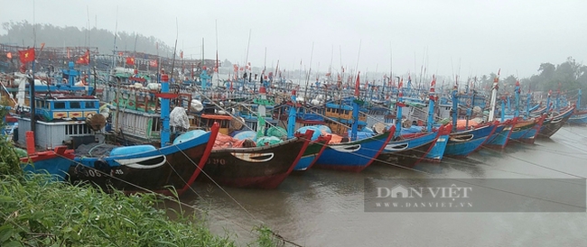 Quảng Ngãi: Đội mưa bão tìm người mất tích ở đầm An Khê, 1 tàu cá chưa liên lạc được  - Ảnh 5.