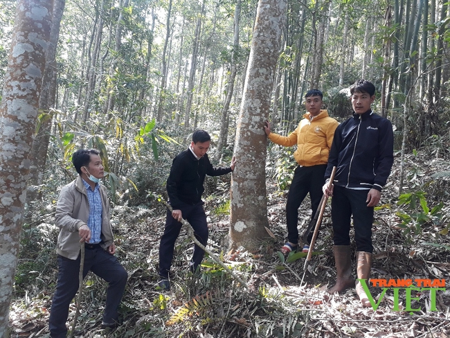 Lai Châu: Làm tốt công tác thu, chi tiền dịch vụ môi trường rừng - Ảnh 1.