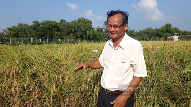 Ông Lê Quốc Việt, nông dân trồng lúa ở tỉnh Kiên Giang. Ảnh: NVCC